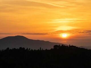 Villa Castelfiorentino  107
