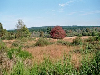 Naturpark Hohes Venn