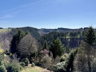 Haus Panoramablick - Ferienwohnung 1 Aussicht