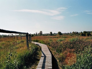 Naturpark Hohes Venn