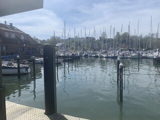 Vakantiehuis Grundhof Omgeving 25