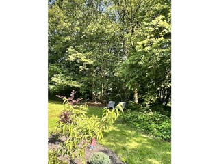 tuin