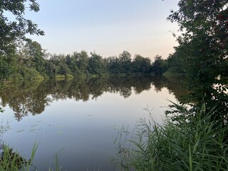 Vijver