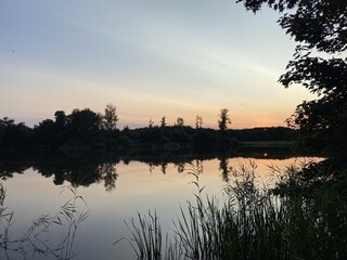 Vijver 2