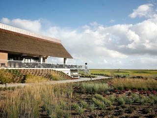 Ferienpark Havneby  17