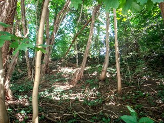 Maison de vacances Lennestadt Environnement 28