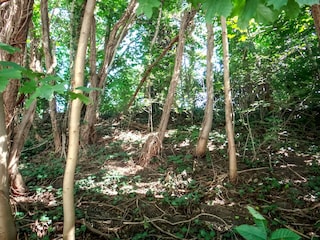 Vakantiehuis Lennestadt Omgeving 28