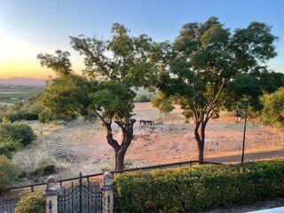 Vakantiehuis Saint-Guiraud Buitenaudio-opname 10