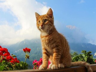 Appartamento Les Deux Alpes  35