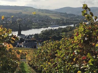 Lieser