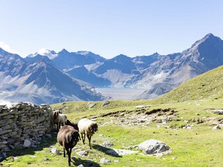 Wandergebiet