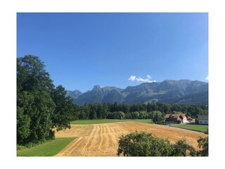 Atemberaubender  Blick auf die Alpen und ins Grüne