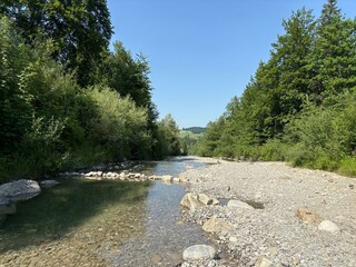 Gürbebach