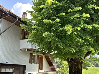 Holiday apartment Wattenwil Outdoor Recording 6