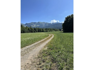 Wanderweg vor der Haustüre