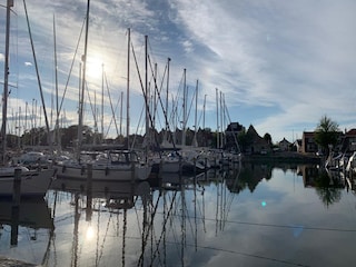 Vakantiehuis Medemblik Omgeving 37