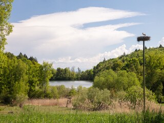 Störche fühlen sich hier auch wohl