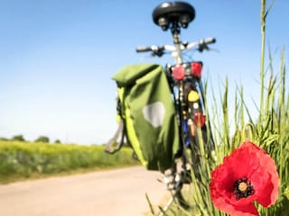 Vakantiepark Hulsig  18