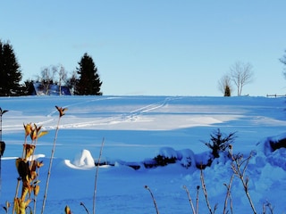 Appartamento Winterberg Ambiente 35