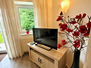 Appartamento Winterberg Caratteristiche 8