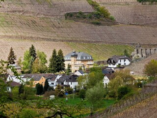 Vakantieappartement Dernau Omgeving 25