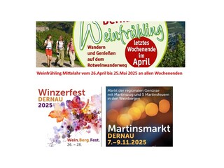 Vakantieappartement Dernau Omgeving 30