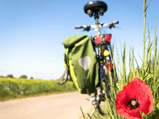 Vakantiepark Hulsig  6