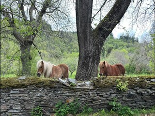Casa per le vacanze Saint-Denis  38