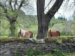 Holiday house Saint-Denis  38