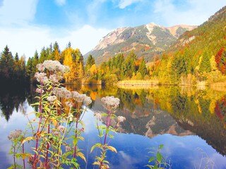 Apartamento de vacaciones Oberstdorf Entorno 14