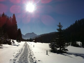 Apartamento de vacaciones Oberstdorf Entorno 10