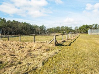 Holiday park Rødhus  22