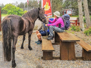 Vakantiepark Rødhus  4