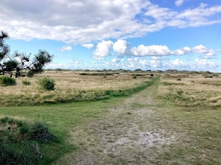 Ferienpark Rødhus  19