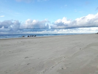 Holiday park Rødhus  23