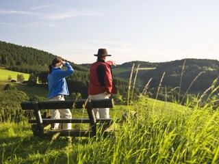 Wandern im Sauerland