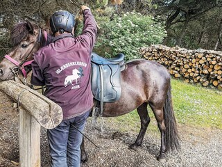 Holiday park Rødhus Outdoor Recording 6