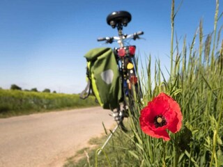 Vakantiepark Asperup  10