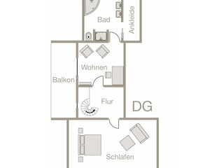 DG