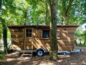 Ferienhaus (Tiny House) am Rande der Lüneburger Heide - Kirchlinteln - image1