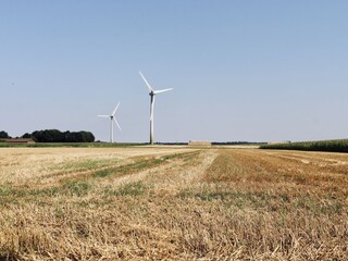 Ferner Blick über weite Landschaft