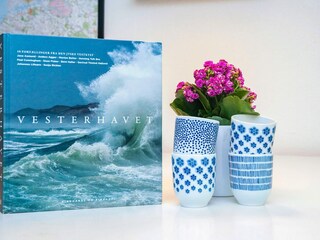 Holiday house Søndervig  23