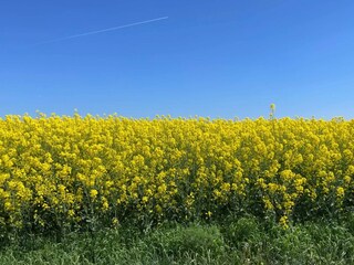 Holiday park Welt  12