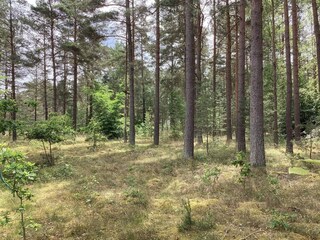 Casa de vacaciones Degeberga Grabación al aire libre 13