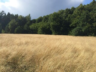 Casa de vacaciones Degeberga Grabación al aire libre 8