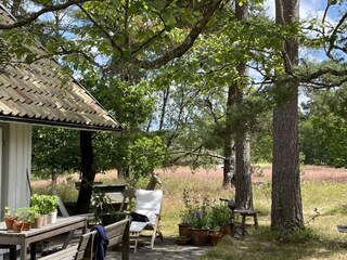 Holiday house Degeberga Outdoor Recording 1