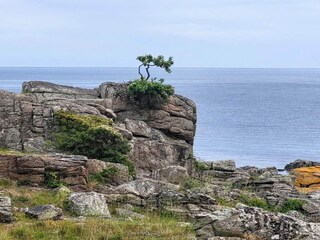 Vakantiehuis Svaneke  40