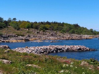 Ferienhaus Svaneke  40