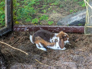 Casa per le vacanze Aså  23