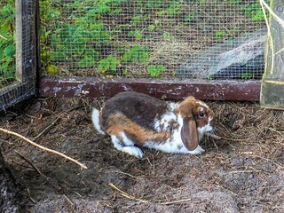 Maison de vacances Aså  32